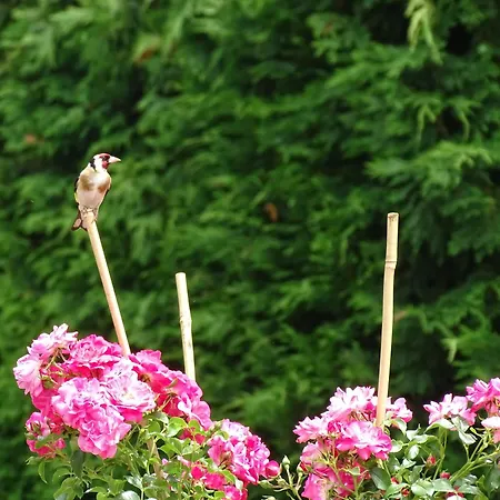 Relais Des Combrailles 3* Tralaigues